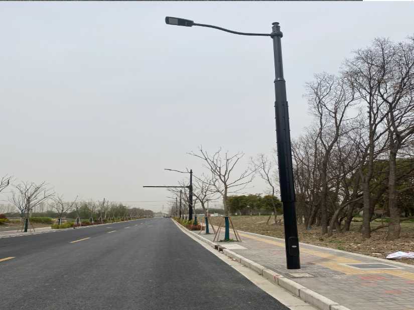 临沭县上海综合杆 太阳能路灯工程